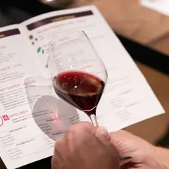 Oenologie, les clés de la dégustation à Strasbourg (4h)