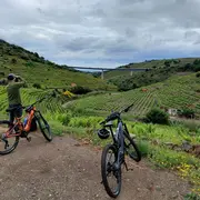 Oenotourisme : Balade En Vtt électrique Dans Les Vignes De Collioure