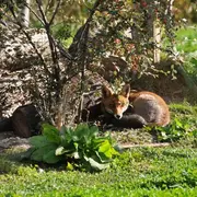 On a visité pour vous le Parc du Petit Prince