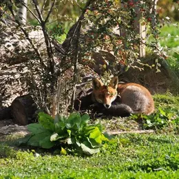 On a visité pour vous le Parc du Petit Prince