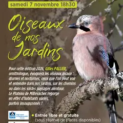 Oiseaux de nos Jardins