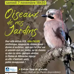 Oiseaux de nos Jardins