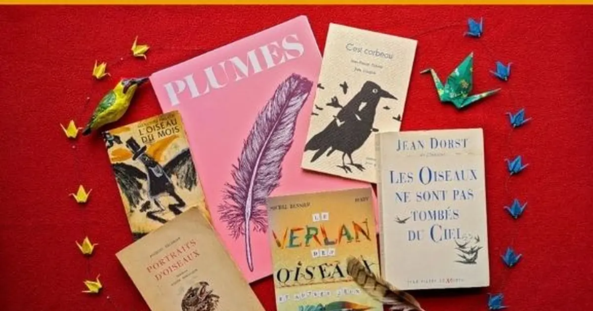 Oiseaux En Mots