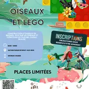 Oiseaux et légos