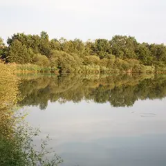 Oiseaux nicheurs de la Réserve Naturelle Régionale Terres et étangs de Brenne Massé-Foucault
