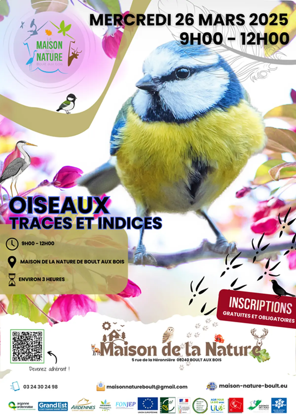 Oiseaux, traces et indices d'oiseaux