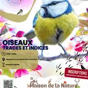 Oiseaux, traces et indices d'oiseaux