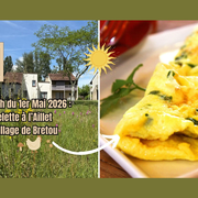 Omelette à l'aillet