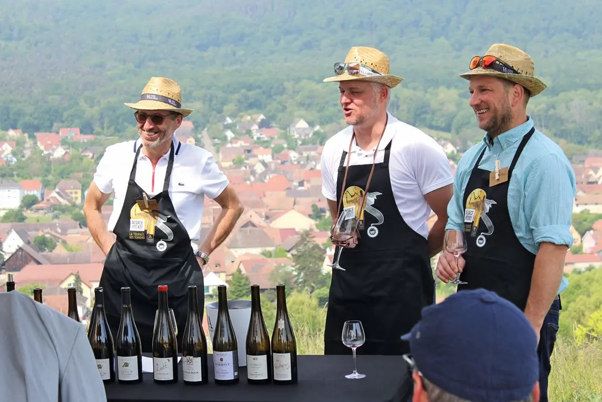 On a testé la Tournée des Terroirs ! C'est l'été sur les Grands Crus Alsaciens