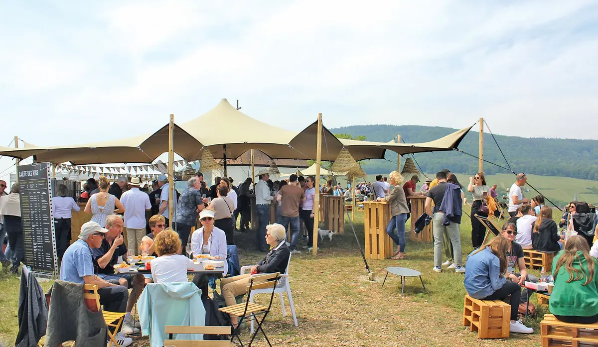 On a testé la Tournée des Terroirs ! C'est l'été sur les Grands Crus Alsaciens