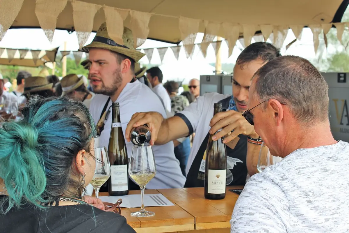 On a testé la Tournée des Terroirs ! C'est l'été sur les Grands Crus Alsaciens