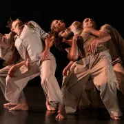 On Danse à L'Archipel - Envol