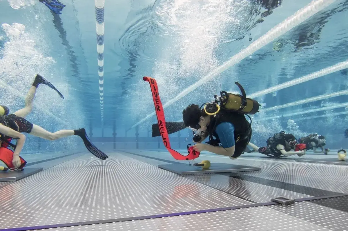 Championnat de France de plongée sportive en piscine : l'événement à Limoges ce week-end.