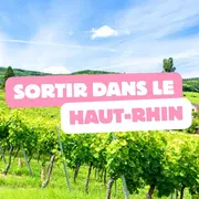 On fait quoi ce week-end dans le Haut-Rhin ? 5 idées du 29 au 31 mai 2026