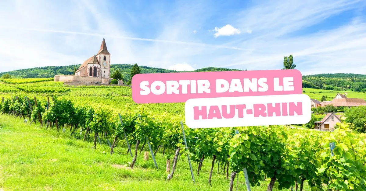On fait quoi ce week-end dans le Haut-Rhin ? 5 id&eacute;es du 29 au 31 mai 2026