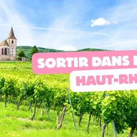 On fait quoi ce week-end dans le Haut-Rhin ? 5 idées du 29 au 31 mai 2026 DR
