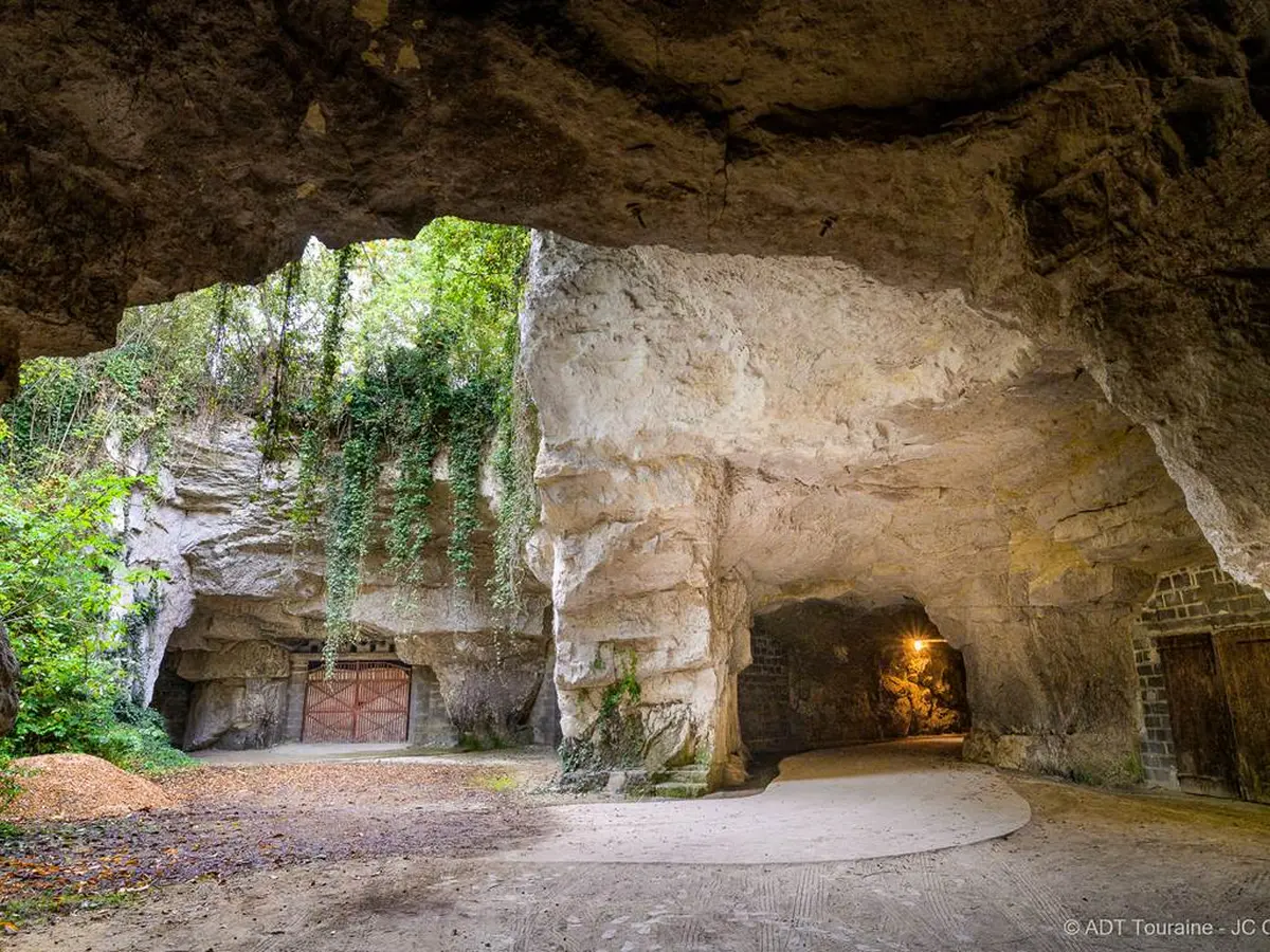 On se retrouve au frais à la Cave !