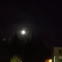 On the moon again