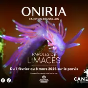 Oniria - Exposition Xxl « Paroles De Limaces »