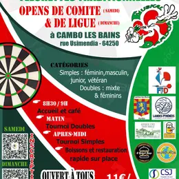 Open de fléchettes traditionnelles