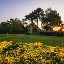 Open Golf
