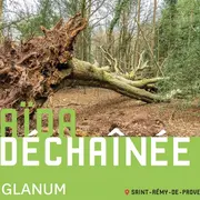 Opéra : Aïda déchainée à Glanum