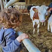 Opération de Ferme en Ferme à la ferme du Maupas