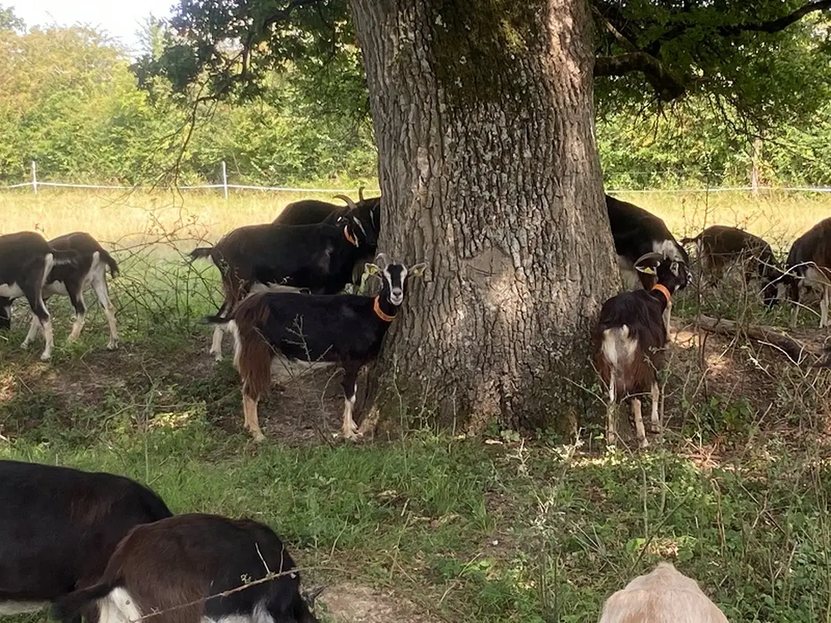 Opération de Ferme en Ferme à la Piloterie