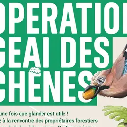 Opération Geai des chênes