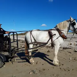 Opération ramassage de déchets en Baie des Veys