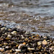 Opération zéro déchet