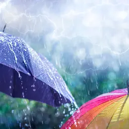 Orages forts et pluies intenses : ces régions où la météo va fortement se dégrader ce jeudi 20 et vendredi 21 août