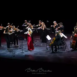 Orchestre De Chambre De Toulouse