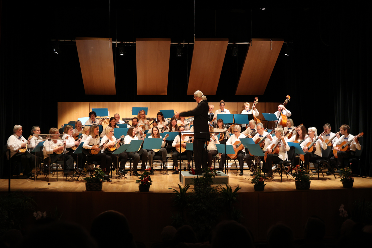 Orchestre de mandolines et guitares