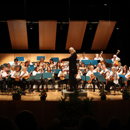 Orchestre de mandolines et guitares