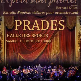 Orchestre Symphonique Alenya Roussillon: Opéra Sans Paroles
