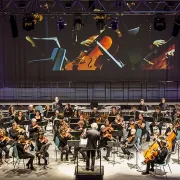 Orchestre Symphonique de Haguenau - OSH