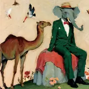 Orchestre Symphonique du Pays Basque : Concert Jeune public L'histoire de Babar