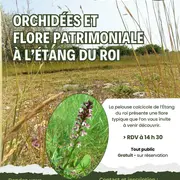 Orchidées et flore patrimoniale