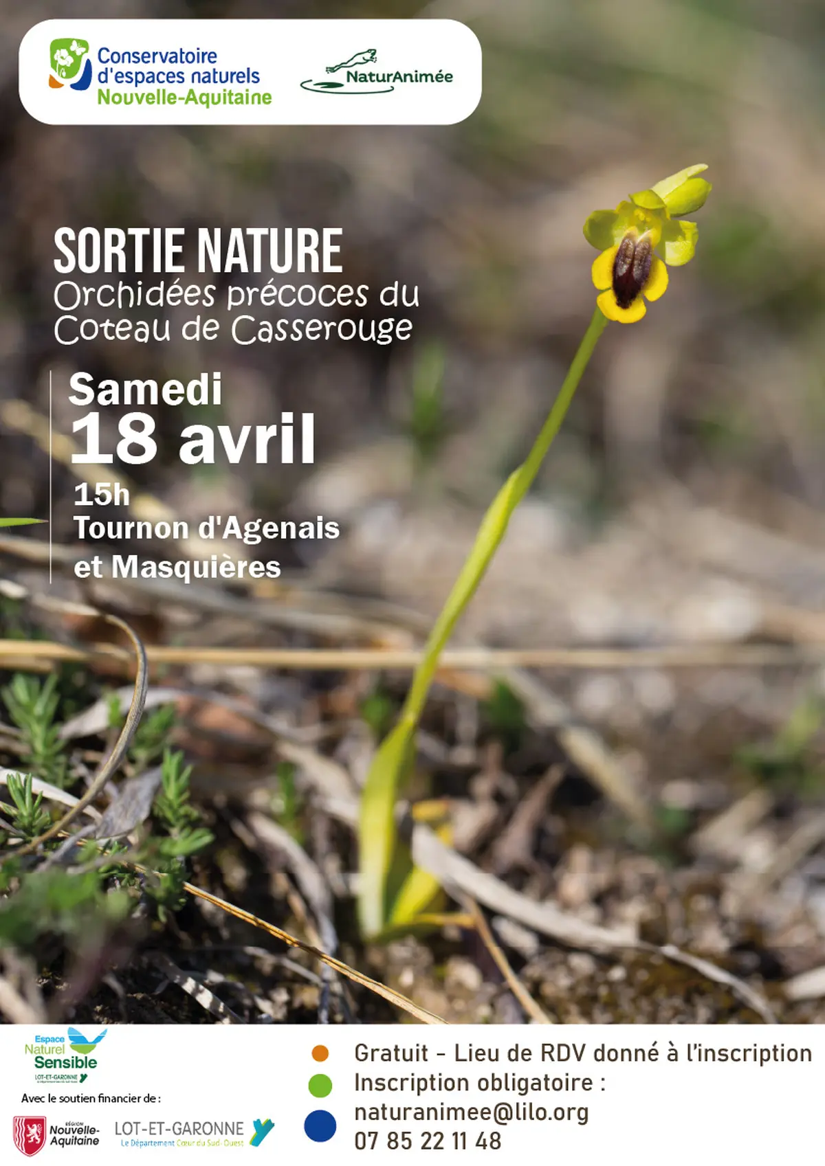 Orchidées précoces du Coteau de Casserouge