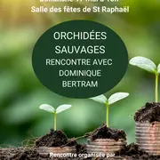 Orchidées sauvages - conférence et sortie