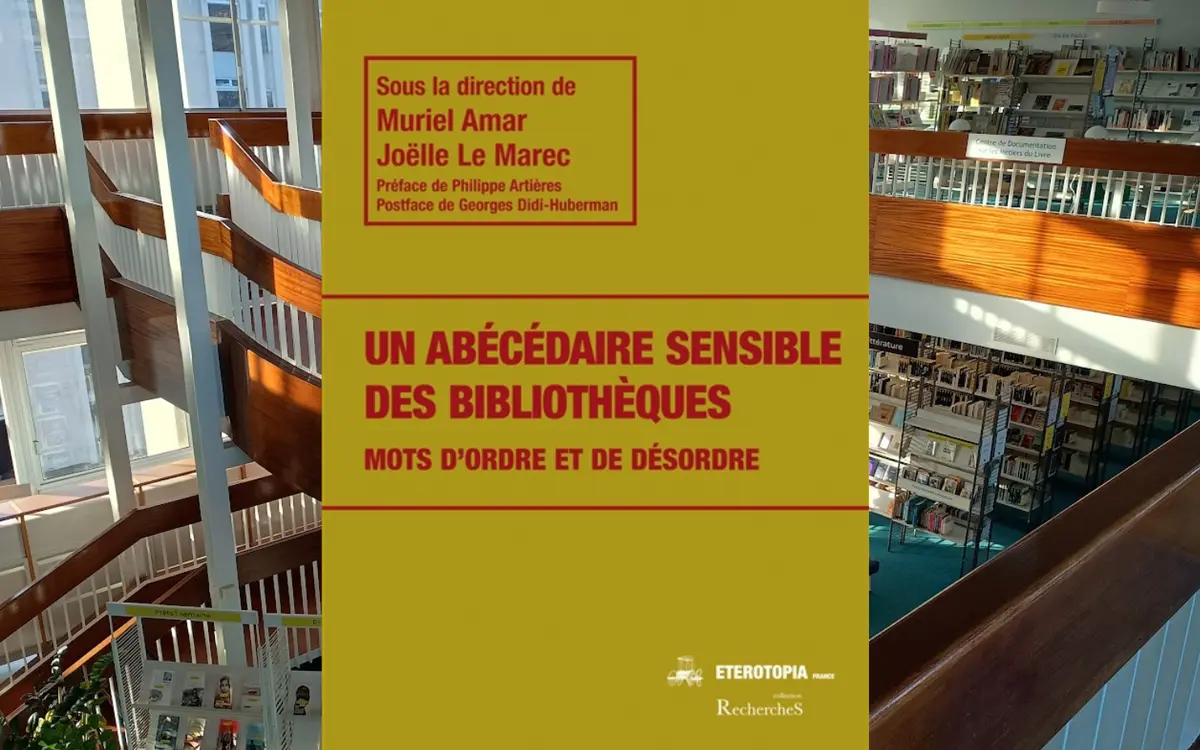 Ordre et désordre : abécédaire sensible des bibliothèques
