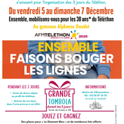 Organisation des 3 jours de Téléthon