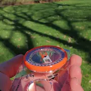 « Orient’arbres » : Découvertes naturalistes et orientation