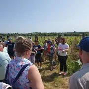 Osez les vins d’Alsace au féminin à Gueberschwihr (68)