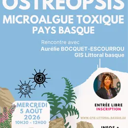 Ostréopsis : microalgue toxique en Pays Basque - Rencontre avec Aurélie Bocquet-Escourrou