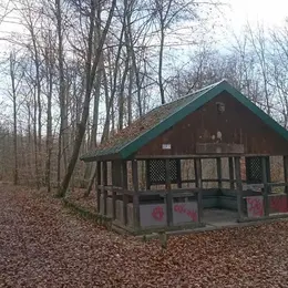 🏃‍♀️ Où aller courir à Mulhouse et ses alentours ? 5 itinéraires course à pied Strava 🛣️