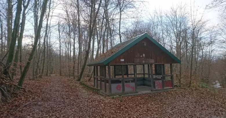 La petite boucle dans la foret du Waldeck
