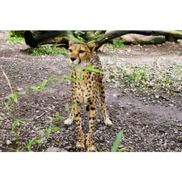 Où aller voir des animaux en Alsace ?