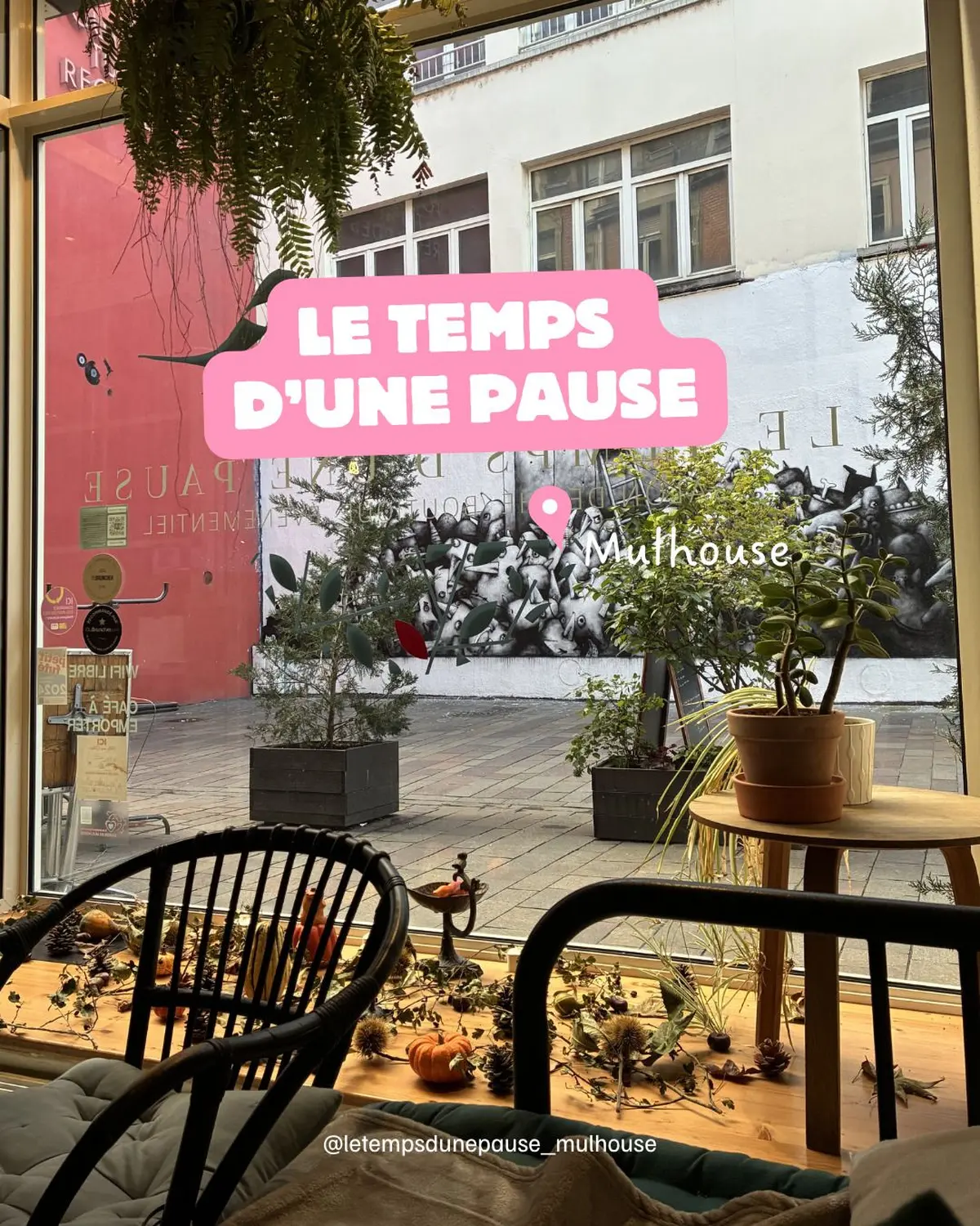 Où bruncher à Mulhouse ? 6 adresses gourmandes à tester en ville et autour
